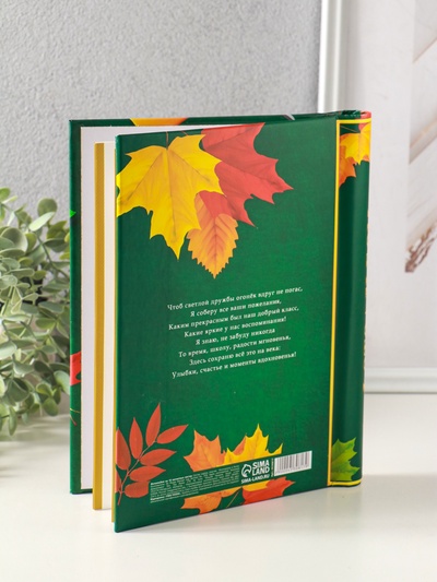 Фотоальбом на 40 фото, 10 магнитных листов «Школьные годы»