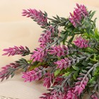 Букет искусственный «Лаванда», 27 см, МИКС 4736428