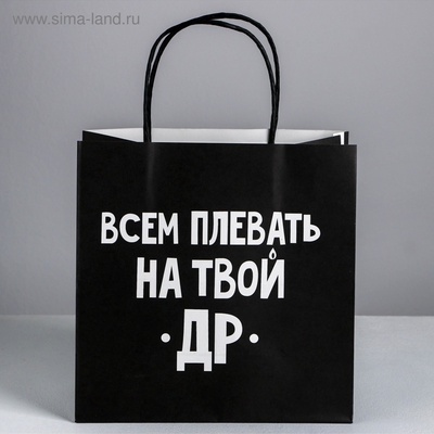 Пакет подарочный, упаковка, «Всем плевать на твой др», 22×22×11 см