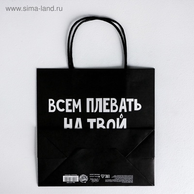 Пакет подарочный, упаковка, «Всем плевать на твой др», 22×22×11 см