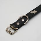 Ошейник «Собачки», 46×2 см, ОШ 31-40, искусственная кожа, чёрный - Фото 2