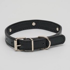 Ошейник «Собачки», 46×2 см, ОШ 31-40, искусственная кожа, чёрный 613061