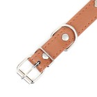 Ошейник "Собачки", 46 х 2 см,ОШ 31-40, искусственная кожа, коричневый - Фото 5