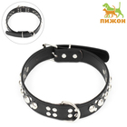 Ошейник «Сириус», 56×3 см, ОШ 42-52, с заклёпками, искусственная кожа, чёрный - Фото 1