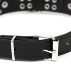 Ошейник «Сириус», 56×3 см, ОШ 42-52, с заклёпками, искусственная кожа, чёрный - Фото 3