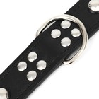 Ошейник «Сириус», 56×3 см, ОШ 42-52, с заклёпками, искусственная кожа, чёрный - Фото 7