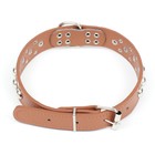 Ошейник "Сириус", кожзам с заклёпками, 56 х 3 см, ОШ 42-52, коричневый - Фото 2