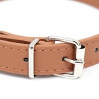 Ошейник "Сириус", кожзам с заклёпками, 56 х 3 см, ОШ 42-52, коричневый - Фото 3