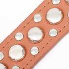 Ошейник "Сириус", кожзам с заклёпками, 56 х 3 см, ОШ 42-52, коричневый - Фото 6