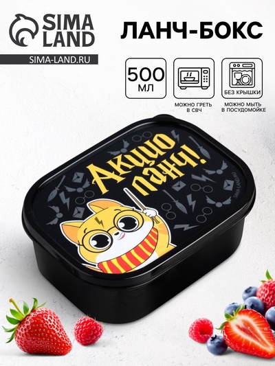 Ланч - бокс прямоугольный «Акцио ланч», 500 мл