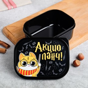 Ланч-бокс «Акцио ланч», 0.5 л