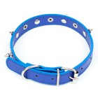 Ошейник "Лион" с шипами 45 х 2 см, ОШ 34-40 см, искусственная кожа, синий - Фото 2