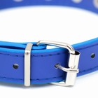 Ошейник "Лион" с шипами 45 х 2 см, ОШ 34-40 см, искусственная кожа, синий - Фото 3