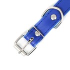 Ошейник "Лион" с шипами 45 х 2 см, ОШ 34-40 см, искусственная кожа, синий - Фото 5