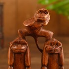 Сувенир "Обезьянки" дерево 12х4х20 см - фото 24282567