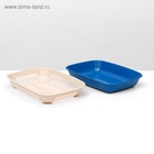 Туалет для кошек, 33.5×25×6 см, округлый, с сеткой, пластик, бежевый, синий - Фото 6