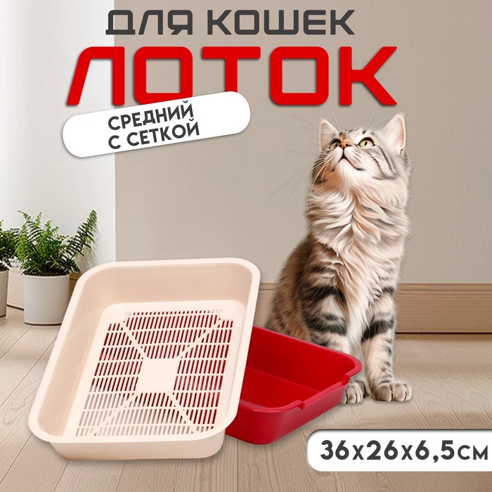 Туалет средний с сеткой 36×26×6.5 см, бежевый/красный - Фото 1