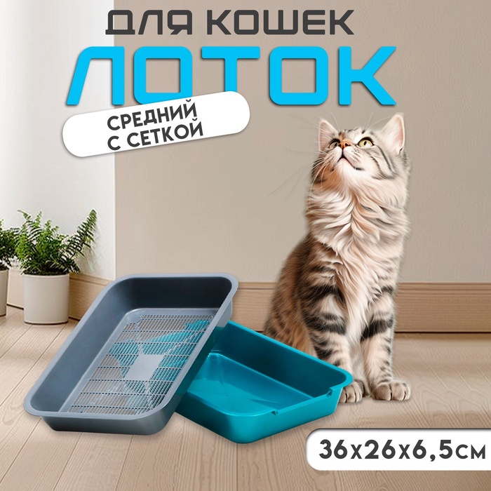 Туалет средний с сеткой 36×26×6.5 см, серый/бирюзовый - Фото 1