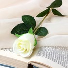 Цветы искусственные "Бутончик розы" 5х50 см, белый - фото 318332852