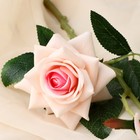 Цветы искусственные "Розы с шипами" 8х40 см, персиковый - Фото 2