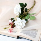 Цветы искусственные "Розы с шипами" 8х40 см, белый - фото 9001426