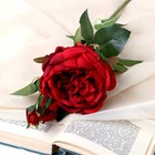 Цветы искусственные "Роза Трио" 10х65 см, бордовый - фото 318332866