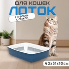 Лоток большой с сеткой Atlantis «Стандарт», 42×31×10 см, синий - Фото 1