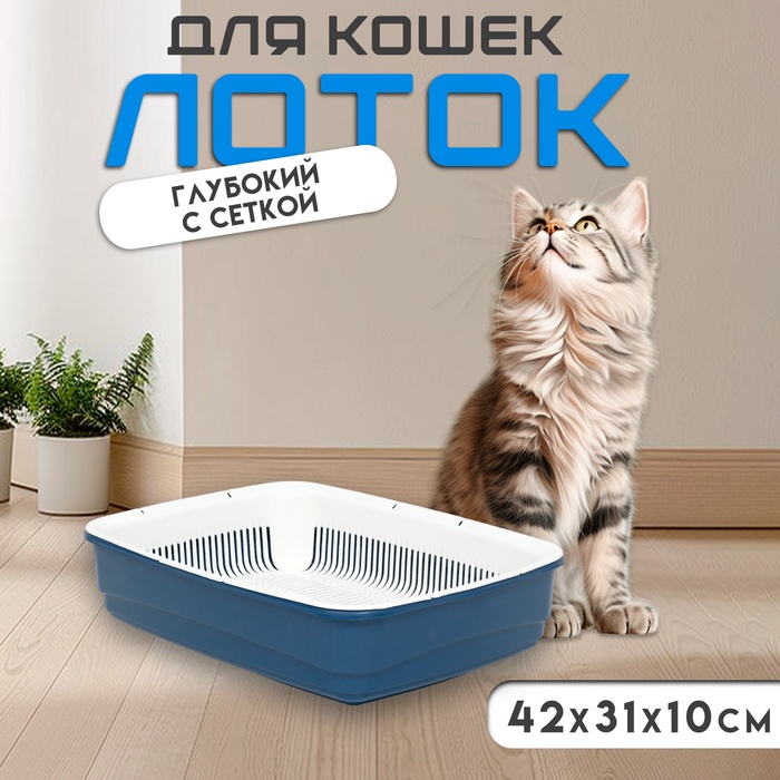 Лоток большой с сеткой Atlantis «Стандарт», 42×31×10 см, синий - Фото 1