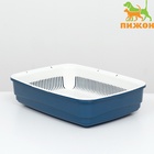 Лоток большой с сеткой Atlantis «Стандарт», 42×31×10 см, синий - Фото 2