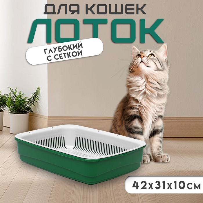 Лоток большой с сеткой Atlantis «Стандарт», 42×31×10 см, зеленый - Фото 1