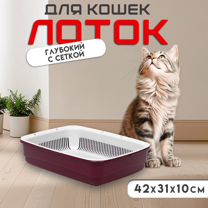 Лоток большой с сеткой Atlantis «Стандарт», 42×31×10 см, красный - Фото 1