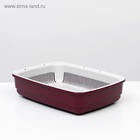 Лоток большой с сеткой Atlantis «Стандарт», 42×31×10 см, красный - Фото 2