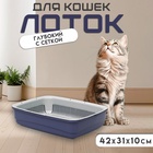 Фиолетовый