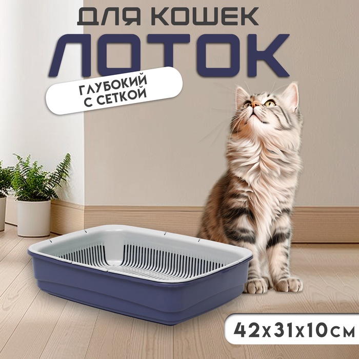 Лоток большой с сеткой Atlantis «Стандарт», 42×31×10 см, фиолетовый - Фото 1