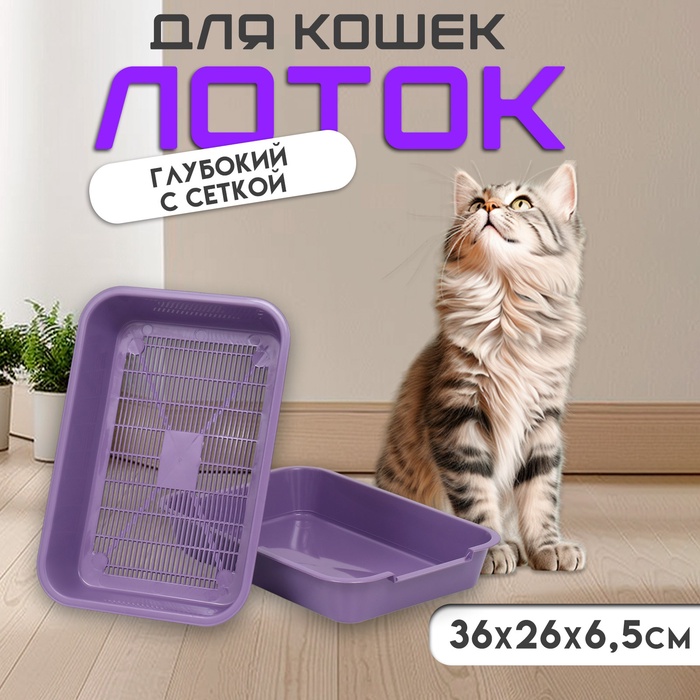 Туалет средний с сеткой 36×26×6.5 см, фиолетовый - Фото 1