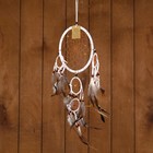 Ловец снов «Пять колец», 25×0.5×50 см, белый - Фото 1