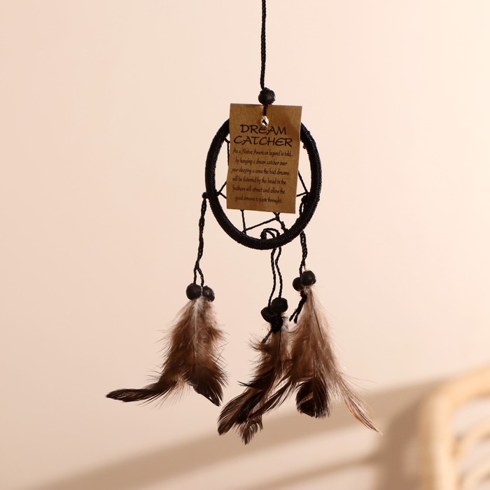Ловец снов «Гармония», 6×0.5×20 см, чёрный, коричневые перья - Фото 1