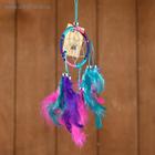 Ловец снов "Круг" разноцветный 6х0,5х20 см - Фото 1