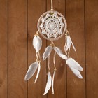 Ловец снов «Восхищение», 12×0.5×40 см, бежевый - Фото 1