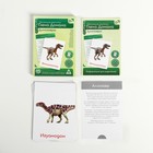 Обучающие карточки по методике Глена Домана «Динозавры», 12 карт, А6, в коробке - Фото 2