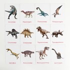 Обучающие карточки по методике Глена Домана «Динозавры», 12 карт, А6, в коробке - Фото 3