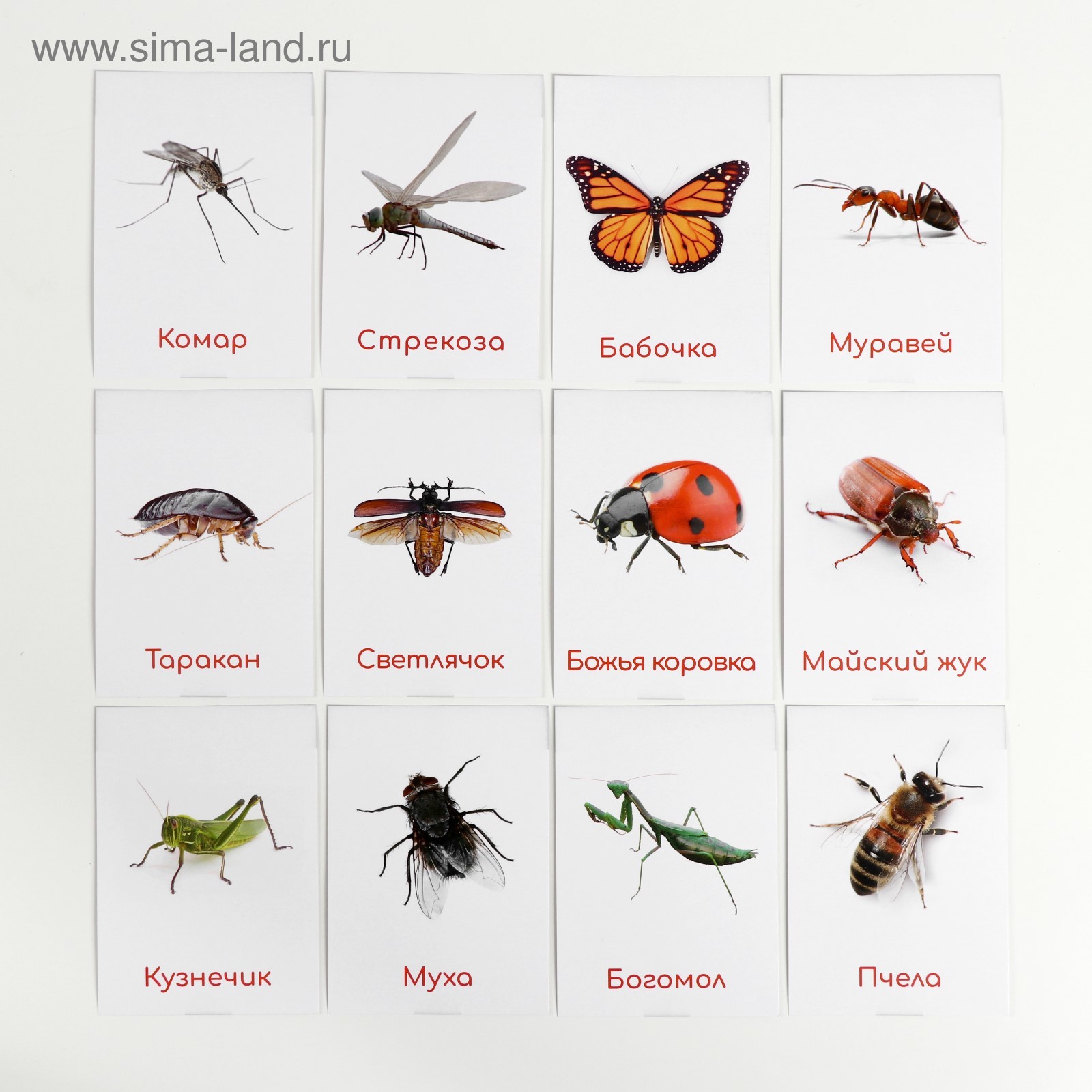 Карточки Домана Для Самых Маленьких Купить
