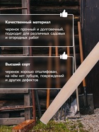 Черенок берёзовый, d = 22 мм, длина 120 см, высший сорт, Greengo 5069915 - фото 4505393