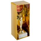 Ника с вкладышем «Решитальная, талантливая, успешная», 18 х 7 х 5,2 см - Фото 4