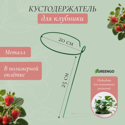 Кустодержатель для клубники, d=20 см, h=25 см, ножка d=0.3 см, металл, зелёный, Greengo