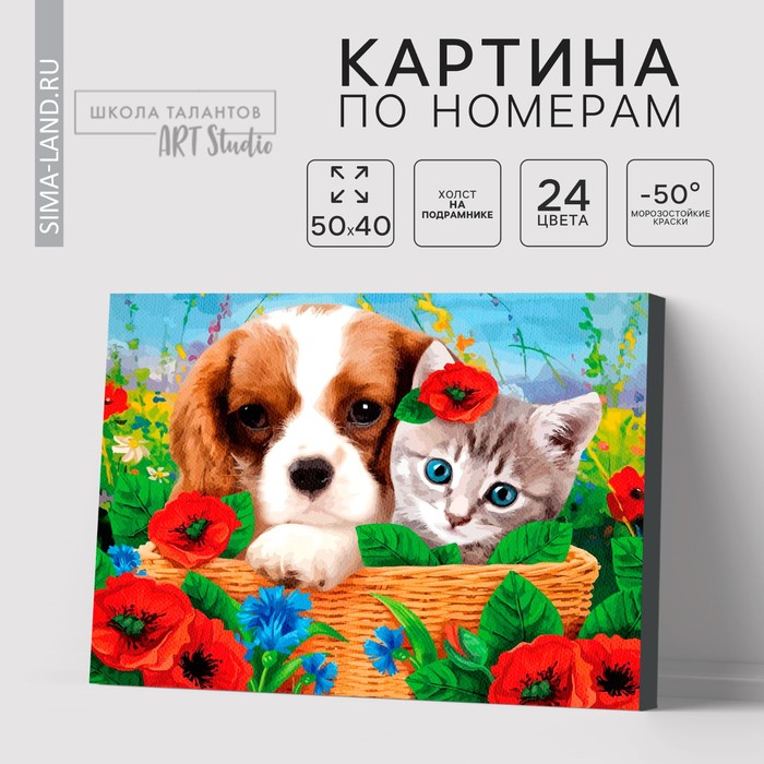 Картина по номерам на холсте с подрамником «Котенок и щенок», 40 х 50 см - Фото 1