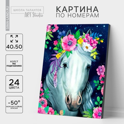 Картина по номерам на холсте с подрамником «Лошадь», 40 х 50 см