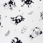 Набор муслиновых пеленок "Крошка Я" Happy cow 75*120 см - 2 шт, хлопок 100% 4935502