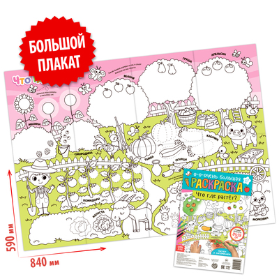Раскраска-гигант «Что где растёт?», 59 × 84 см