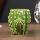 Аромалампа керамика "Кактус с бабочкой" МИКС 9х11х7 см - фото 6301800